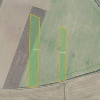 Prodej zemědělské půdy 28 316 m² Horoušany