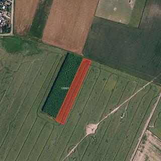 Prodej zemědělské půdy 8 730 m² Moravské Budějovice