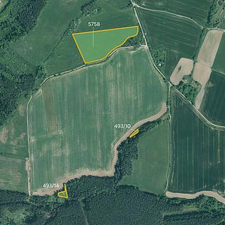Prodej louky 21 867 m² Slabčice Písecká Smoleč