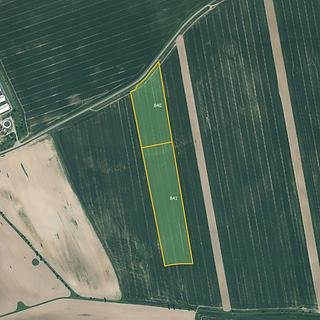 Prodej zemědělské půdy 28 823 m² Poběžovice Sedlec