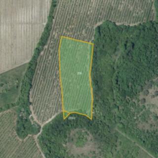 Prodej ostatních pozemků 10567 m² Děčany