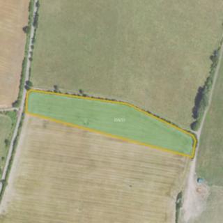 Prodej zemědělské půdy 11497 m² Milý