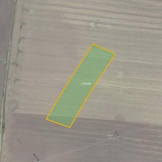 Prodej zemědělské půdy 3 004 m² Sadská