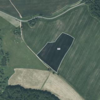 Prodej zemědělské půdy 28 724 m² Nové Lublice