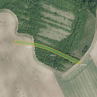 Prodej zemědělské půdy 3633 m&sup2; Ždánice