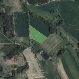 Prodej zemědělské půdy 8395 m² Radešín