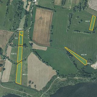 Prodej zemědělské půdy 44 122 m² Dolní Benešov Zábřeh