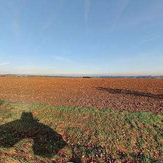 Prodej zemědělské půdy 3 848 m² Leština u Světlé