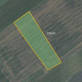 Prodej zemědělské půdy 24780 m&sup2; Nový Poddvorov