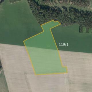 Prodej zemědělské půdy 9 149 m² Číhošť Hlohov