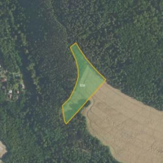 Prodej zemědělské půdy 11 887 m² Velká Lečice