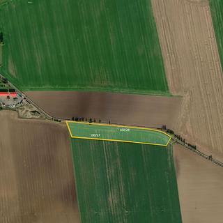 Prodej zemědělské půdy 10 023 m² Jičín Moravčice