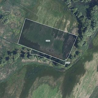 Prodej zemědělské půdy 9 343 m² Hrabětice