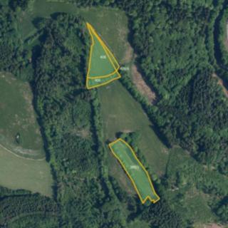 Prodej louky 14 911 m² Víchová nad Jizerou Horní Sytová