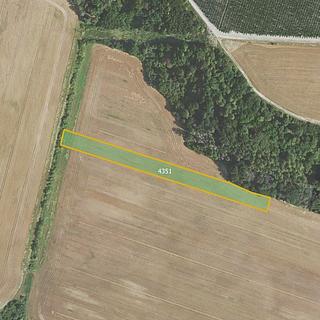 Prodej zemědělské půdy 8 121 m² Třtice
