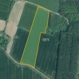 Prodej zemědělské půdy 77 267 m² Slabčice Písecká Smoleč