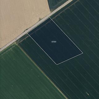 Prodej zemědělské půdy 4 033 m² Oplocany