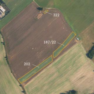 Prodej zemědělské půdy 12 427 m² Tučapy Brandlín