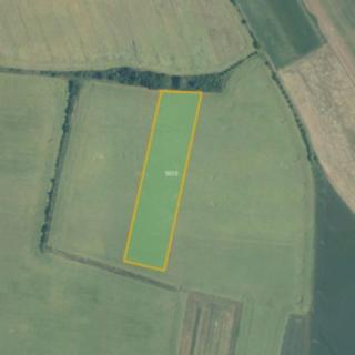 Prodej zemědělské půdy 3 008 m² Vítonice