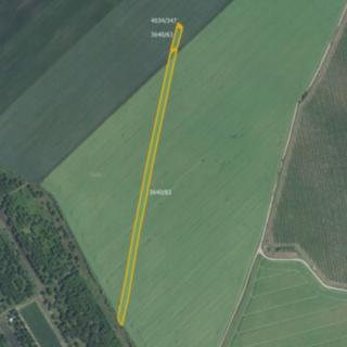 Prodej zemědělské půdy 3 169 m² Čejkovice