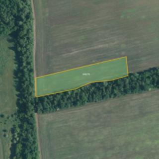 Prodej zemědělské půdy 4 953 m² Medlov