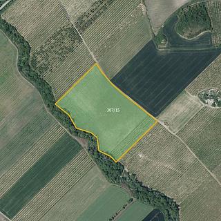 Prodej ostatního pozemku 42 369 m² Želkovice