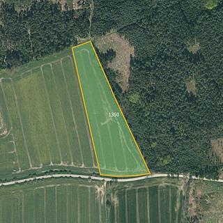 Prodej zemědělské půdy 21 400 m² Myslkovice