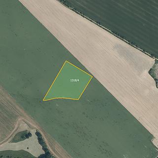 Prodej zemědělské půdy 21 681 m² Načeradec