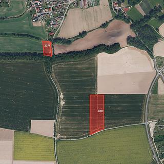 Prodej zemědělské půdy 7381 m&sup2; Černíkovice