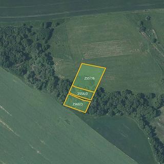 Prodej louky 5 637 m² Vítkov