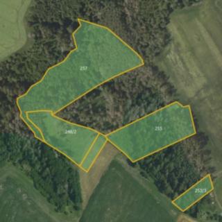 Prodej lesa 14957 m² Letovice