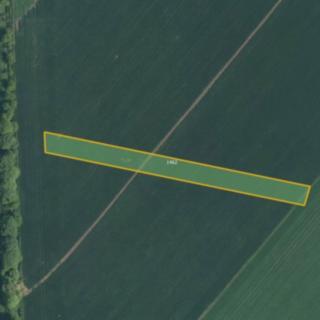 Prodej zemědělské půdy 2 313 m² Prusinovice
