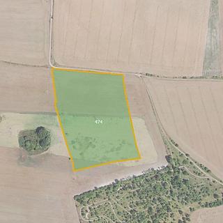 Prodej zemědělské půdy 7 802 m² Velvary Velká Bučina
