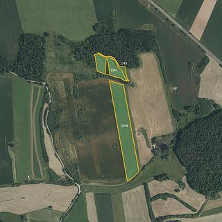 Prodej zemědělské půdy 14 263 m² Králova Lhota
