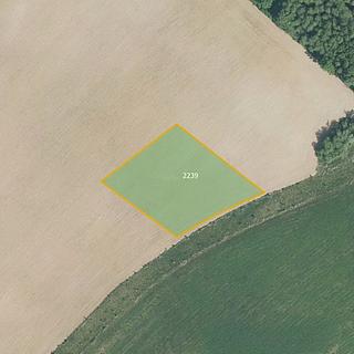 Prodej zemědělské půdy 17 546 m² Komárov