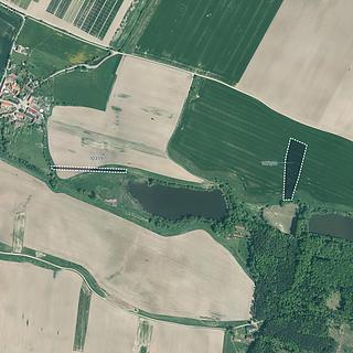 Prodej zemědělské půdy 21 656 m² Kluky