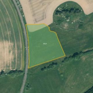 Prodej louky 11 874 m² Žihle Přehořov