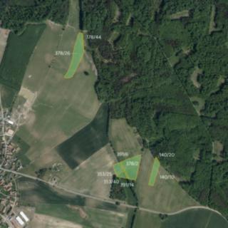 Prodej zemědělské půdy 35905 m² Borek