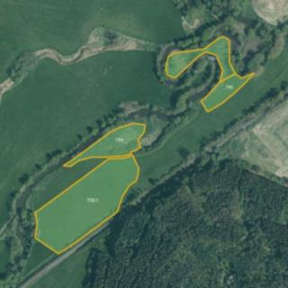 Prodej louky 26107 m² Červené Poříčí