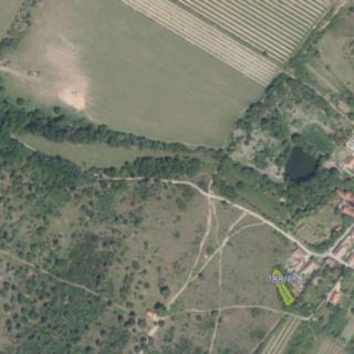 Prodej zemědělské půdy 400 m² Popice