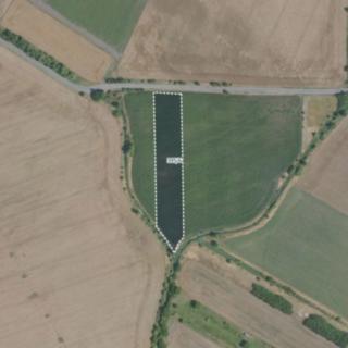 Prodej zemědělské půdy 9 362 m² Sudovo Hlavno