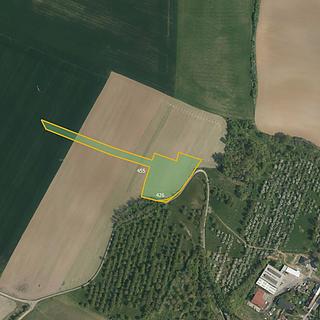 Prodej zemědělské půdy 19 843 m² Luže Radim