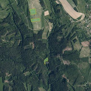 Prodej zemědělské půdy 19 916 m² Jílové u Držkova