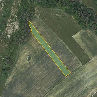 Prodej zemědělské půdy 5768 m&sup2; Březová