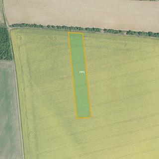 Prodej zemědělské půdy 4183 m² Dřínov