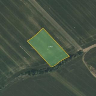 Prodej zemědělské půdy 9909 m² Morašice