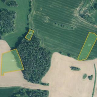 Prodej louky 23474 m² Úlehle