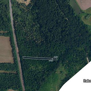 Prodej lesa 1 050 m² Břeclav Poštorná