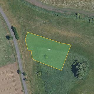 Prodej zemědělské půdy 4 726 m² Loučeň Studce