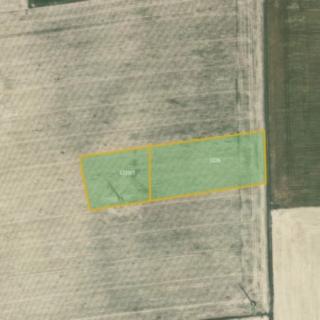 Prodej zemědělské půdy 8089 m² Kamenec u Poličky
